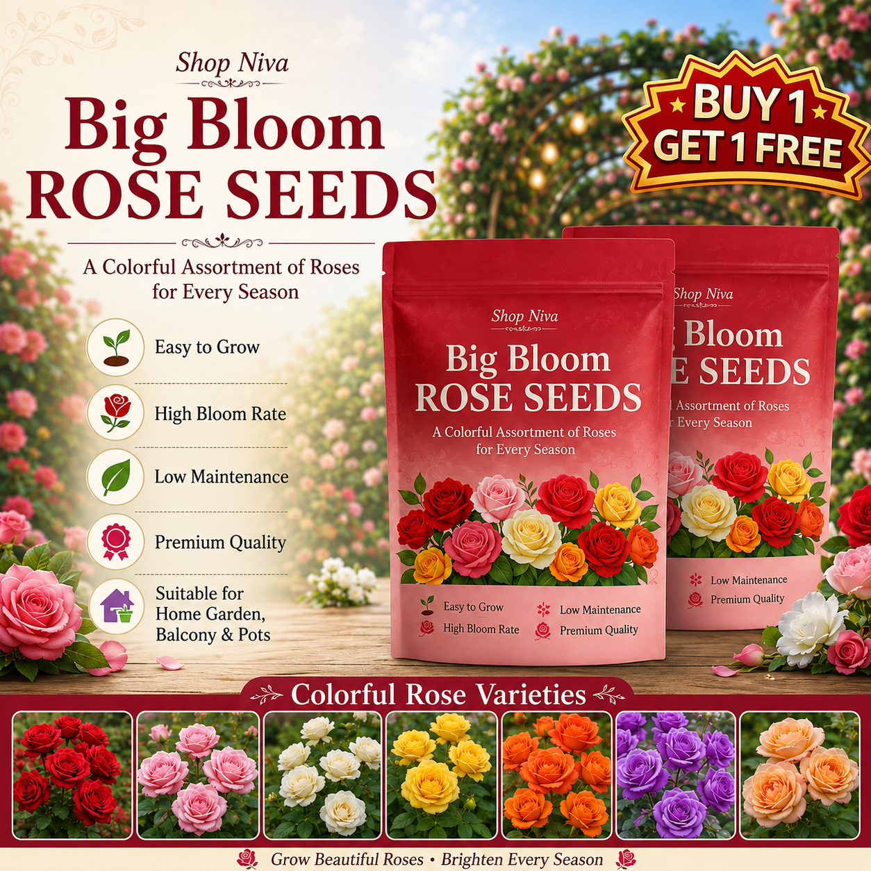 Big Bloom Rose Seeds (Pack of 2)